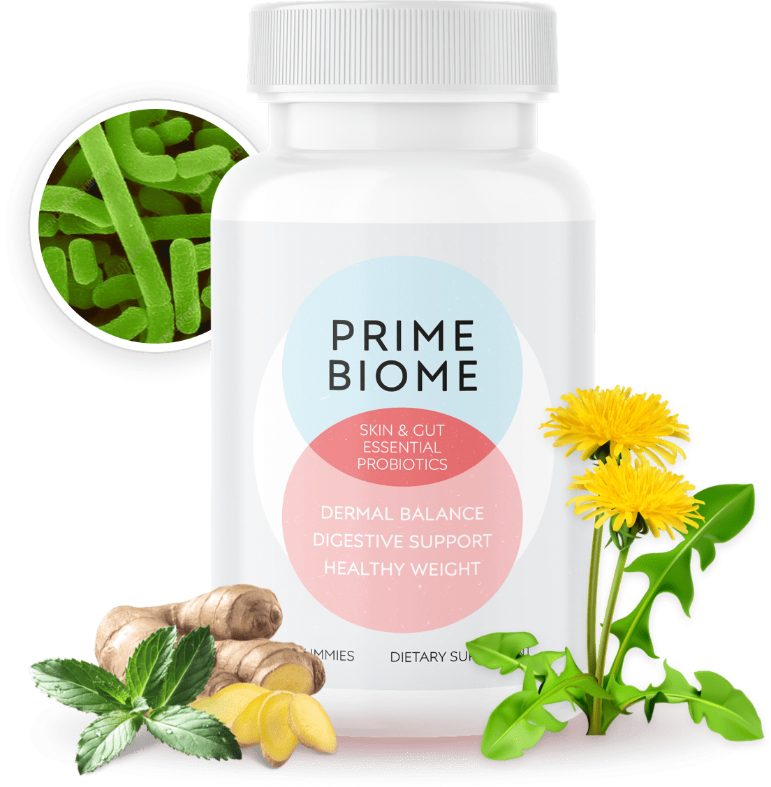 PrimeBiome - The Skin-Gut Cell Turnover Breakthrough